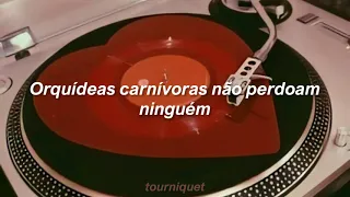 Nirvana - Heart Shaped Box (Tradução/Legendado)