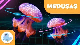 La medusa 👾 Animales para niños 🌊 Episodio 9