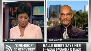 Halle Berry custody battle re-opens 'one drop rule' debate