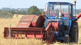 Ford 5000 in the field harvesting barley w/ JF MS707 thresher | Nostalgia | Harvest Season 2021