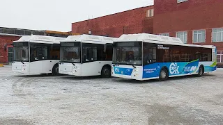 В Омск приехали последние три автобуса из новой партии