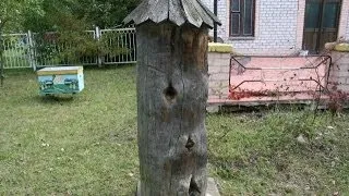 Log Beehive At Prokopovych Bee Museum In Ukraine