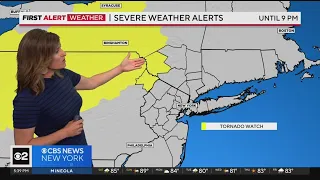 Severe Thunderstorm Warning, Tornado Watch in Sullivan County