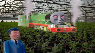 YTP Henry's Green Plantation