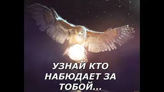 ОН НАБЛЮДАЕТ ЗА ТОБОЙ ⚡И ОЧЕНЬ НЕ ДОВОЛЕН ТЕМ, ЧТО УЗНАЛ... 😉😮😭