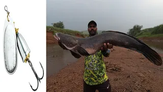 Big snake head fish hunting maral fish hunting मोठ्या आकाराच्या मरल मासा