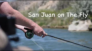 "San Juan on The Fly" 2022 San Juan River Fly Fishing