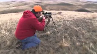 The Hunting Chronicles - Giant Mule Deer