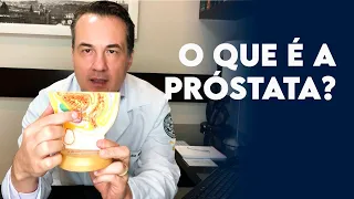 O que é a próstata e onde fica? - Dr. André Matos Urologista