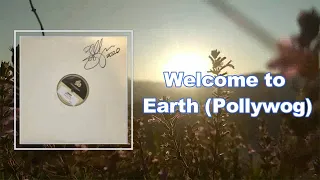 Sturgill Simpson - Welcome to Earth Pollywog (Lyrics)