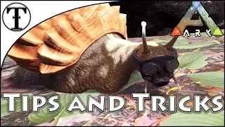 Fast Achatina (Snail) Taming Guide :: Ark : Survival Evolved Tips and Tricks