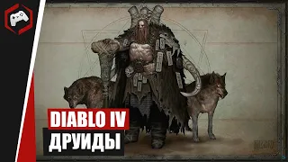 ЛОРОВЕДЕНИЕ #20: ОТКУДА ПОЯВИЛИСЬ ДРУИДЫ? | DIABLO IV