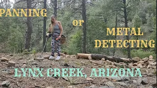 GOLD PROSPECTING LYNX CREEK, ARIZONA / Pan or Metal Detect