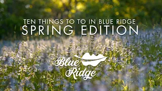 Top 10 Things to Do in Blue Ridge (Spring Edition)