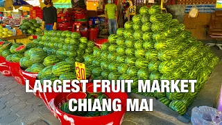 【4K】The Largest Fruit Market in Chiang Mai | Fresh Fruits Market - Thailand 🇹🇭- 4K 60fps