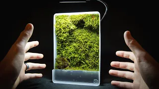 Mini Self-Watering Moss Wall