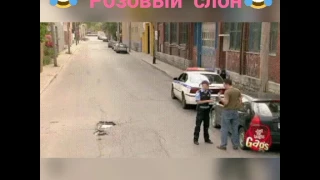 Розовый слон и полиция.ПРИКОЛ))))