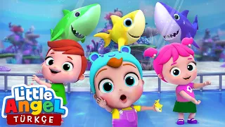 Baby Shark Şarkısı, Çocuk Oyun🐬🐠🦈 | Eğlenceli Ve Öğretici Bebek Şarkıları | Little Angel Türkçe