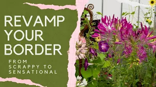 Designing a new border - top tips from garden experts