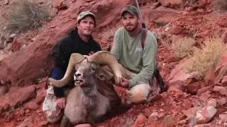 Arizona Desert Bighorn Sheep Hunting - Unit 12B