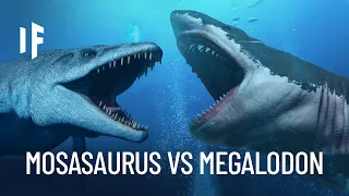 Was wäre, wenn der Megalodon Hai gegen Mosasaurus kämpfte?