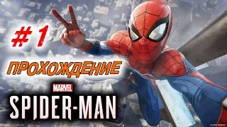 Прохождение Spider-Man 2018 #1