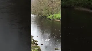 D3adliest RIVER in the World!