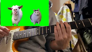 【猫ミーム】弾いてみた / guitar cover　#猫ミーム #猫マニ　#shorts