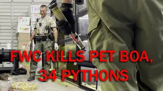 FWC Officers Euthanize Pet Boa and 34 other Snakes