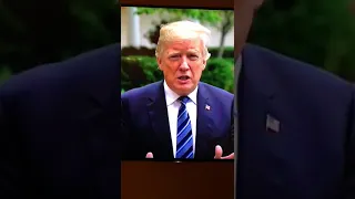 Donald Trumps hair flies off in winds from  Hurricane Florence MUST SEE