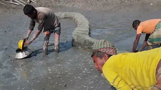 net fishing in village fish। catching by net in pond । Traditional Net Fishing ।RSL fish cutting