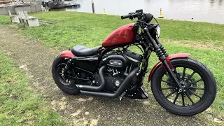 Walk around Harley Davidson Sportster Iron 883 Custom! Sound On!