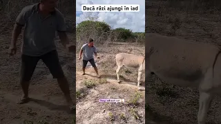 Dacă râzi ajungi în iad 😂😂😂 #shorts #romania #comedy #memes