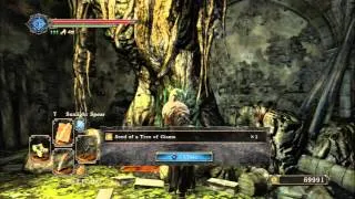 DARK SOULS 2 Seed Of A Tree Of Giants Farming (Read Description)