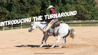 How to Introduce your horse to the Turnaround