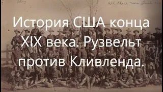 История США конца XIX века. Война с Испанией и внутриполитическая борьба в США.