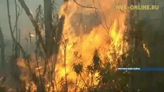 Самый крупный лесной пожар зафиксирован в Мирнинском районе