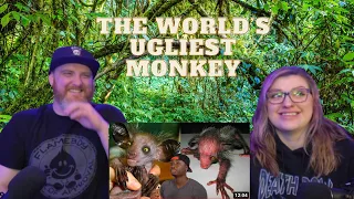 How an Island Created the World’s Ugliest Monkey @mndiaye_97 | HatGuy & @gnarlynikki React