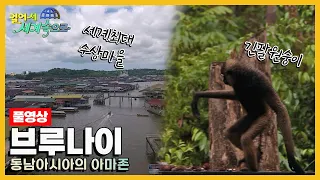 [걸어서세계속으로Full📺] 동남아시아의 아마존이라 불리는 황금의 제국 '브루나이' 여행 Trip to Brunei (KBS 20180512)