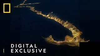 3D Scan of Tham Luang Cave | Drain the Oceans: Thai Cave Rescue | National Geographic UK