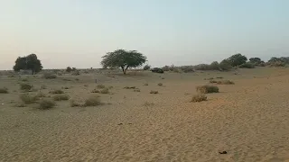 Longewala border||Rajasthan||Hindustan||