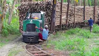 Transporting Million of Tons of Sugarcane With Primitive and Modern Trains