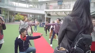 NLPサプライズ『特別な旅』フラッシュモブ プロポーズ FlashMob Surprise Proposal