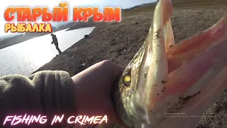 Старый Крым, рыбалка на водохранилище, ловля щуки в Крыму