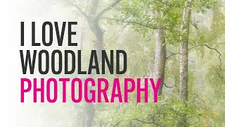 How I photograph Trees // Woodland Photography in the Lake District