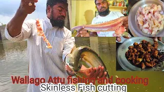 Wallago Attu fishing and cooking | Wallago Skinless fish cutting