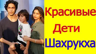 КРАСИВЫЕ ДЕТИ ШАХРУКХ КХАНА /АРЬЯН КХАН И СУХАНА КХАН НОВОСТИ 2022