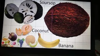 Fruits size comparison