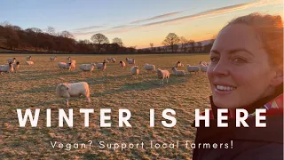 WE NEED YOUR SUPPORT! WINTER , NEW YEAR, DALE FARM ...LOCKDOWN UNTIL? SHEEP FARMING PEAK DISTRICT
