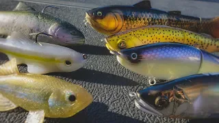 Spring Swimbait Fishing:  Everything You Need To Know